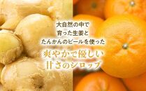 【全3回定期便】屋久島ジンジャーシロップ&nbsp;大(200ml)×2本セット