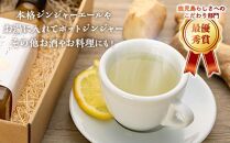 【全6回定期便】屋久島ジンジャーシロップ&nbsp;大(200ml)×2本セット