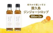 【全6回定期便】屋久島ジンジャーシロップ&nbsp;大(200ml)×2本セット