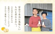 【全6回定期便】屋久島ジンジャーシロップ&nbsp;大(200ml)×2本セット