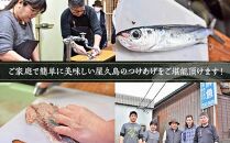 【定期便&nbsp;全3回】屋久島&nbsp;魚すりみ&nbsp;300g×4パック＜屋久島名産のトビウオ使用＞