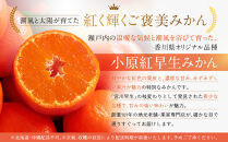 ≪ご褒美ふるーつ≫「小原紅早生みかん」約3kg【2026年12月以降お届け】