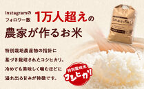 栃木県大田原産コシヒカリ&nbsp;白米&nbsp;10kg｜&nbsp;特別栽培米&nbsp;メディア出演多数&nbsp;栃木県農業大賞&nbsp;知事賞&nbsp;受賞農家&nbsp;五月女農場&nbsp;農家直送&nbsp;産地直送&nbsp;産直&nbsp;栃木県&nbsp;大田原市&nbsp;こしひかり