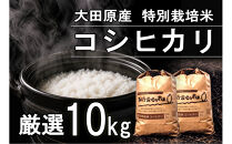 栃木県大田原産コシヒカリ&nbsp;白米&nbsp;10kg｜&nbsp;特別栽培米&nbsp;メディア出演多数&nbsp;栃木県農業大賞&nbsp;知事賞&nbsp;受賞農家&nbsp;五月女農場&nbsp;農家直送&nbsp;産地直送&nbsp;産直&nbsp;栃木県&nbsp;大田原市&nbsp;こしひかり
