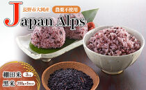 長野市大岡産農薬不使用Japan&nbsp;Alps棚田米3kg＆黒米200g×5セット