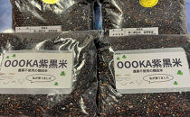 長野市大岡産農薬不使用Japan&nbsp;Alps棚田米3kg＆黒米200g×5セット