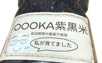 長野市大岡産農薬不使用Japan&nbsp;Alps棚田米3kg＆黒米200g×5セット