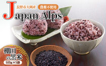 長野市大岡産農薬不使用Japan&nbsp;Alps棚田の紫黒米　500ｇ　5袋