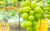 【食べきりサイズ】ご家庭用&nbsp;岡山県産シャインマスカット&nbsp;400g×2パック（計800g）