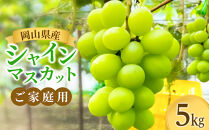 ご家庭用（５キロ）・岡山県産シャインマスカット
