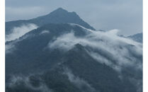 新米予約【令和8年産】【定期便】南魚沼塩沢産コシヒカリ「然然」　農薬5割減栽培　玄米5kg&nbsp;x&nbsp;全6回【2026年10月上旬より1ヶ月以内に順次発送予定】