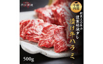 タレ漬け牛ハラミ&nbsp;500g&nbsp;（250g×2)