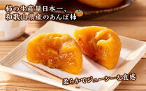 あんぽ柿&nbsp;6パック&nbsp;和歌山県産&nbsp;たねなし柿&nbsp;干し柿&nbsp;完全無添加&nbsp;干柿&nbsp;乾し柿&nbsp;クール冷蔵便&nbsp;紀伊国屋文左衛門本舗&nbsp;［TC09］