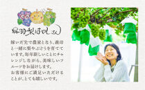 【先行予約】呉羽ぶどう　シャインマスカット＆ピオーネセット（各１房&nbsp;計約1～1.2kg）