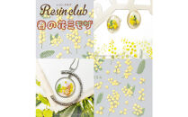 レジンクラブ&nbsp;レジンシート&nbsp;5枚セット&nbsp;【春夏秋冬】両面タイプ&nbsp;シール
