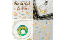 レジンクラブ&nbsp;レジンシート&nbsp;5枚セット&nbsp;【春夏秋冬】両面タイプ&nbsp;シール