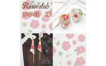 レジンクラブ&nbsp;レジンシート&nbsp;5枚セット&nbsp;【春夏秋冬】両面タイプ&nbsp;シール