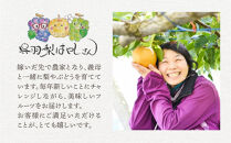 【先行予約】呉羽梨　幸水　梨ソルベ（90ml×6個）