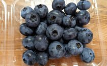 ブルーベリーミックス500g(125g×4パック)