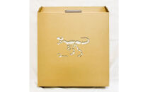 【Qumu】大型ダンボール骨格標本キット　ティラノサウルス