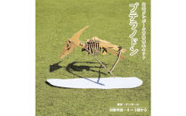 【Qumu】大型ダンボール骨格標本キット　プテラノドン