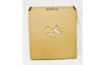 【Qumu】大型ダンボール骨格標本キット　プテラノドン