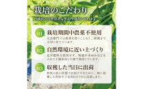 【宮城県産】生青唐辛子&nbsp;龍の尾&nbsp;3kgセット（500g×6袋）激辛韓国品種&nbsp;西根の森｜太良衛門