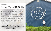 【4月配送】特別栽培米ゆめぴりか精米3kg(3kg×1袋)&nbsp;令和7年産(4月より発送予定)_05275