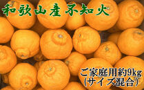 「農園直送」和歌山県産不知火&nbsp;もりもりの約9kg（サイズ混合&nbsp;ご家庭用）★2027年2月下旬頃より順次発送&nbsp;［TM258］
