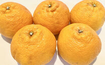 「農園直送」和歌山県産不知火&nbsp;もりもりの約9kg（サイズ混合&nbsp;ご家庭用）★2027年2月下旬頃より順次発送&nbsp;［TM258］