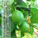 ［先行予約］［国産］紀州和歌山&nbsp;有田レモン&nbsp;2kg［MS67］