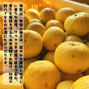 ［先行予約］［国産］紀州和歌山のご家庭用訳あり&nbsp;柚子（ゆず）3kg&nbsp;［MS139］
