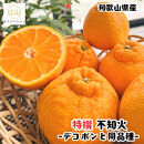 ［先行予約］特選&nbsp;濃厚&nbsp;不知火&nbsp;1kg［MS141］