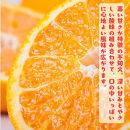 ［先行予約］特選&nbsp;濃厚&nbsp;不知火&nbsp;2.5kg&nbsp;［MS142］