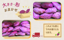 訳あり&nbsp;さつまいも&nbsp;なると金時&nbsp;甘姫&nbsp;&nbsp;(約5kg）貯蔵&nbsp;&nbsp;1週間以内に発送