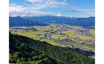 【令和8年産先行予約】南魚沼産新之助5kg一等米【塩沢地区】【2026年10月中旬より1ヶ月以内に順次発送予定】