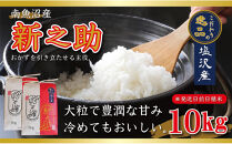 【令和8年産先行予約】南魚沼産新之助10kg一等米（5kg×2袋）【塩沢地区】【2026年10月中旬より1ヶ月以内に順次発送予定】