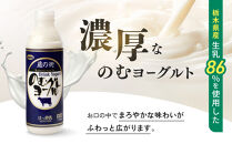関東栃木レモン入り乳飲料セット&nbsp;｜&nbsp;栃木乳業&nbsp;レモン牛乳&nbsp;生乳&nbsp;ヨーグルト&nbsp;栃木市