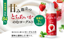 関東栃木レモン入り乳飲料セット&nbsp;｜&nbsp;栃木乳業&nbsp;レモン牛乳&nbsp;生乳&nbsp;ヨーグルト&nbsp;栃木市