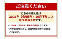令和8年産新米予約【天水棚田米】雪蔵熟成塩沢産コシヒカリ精米3kg1回「とやの里山継承プロジェクト」【2026年10月下旬より順次発送予定】