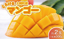 【JA大崎選果場厳選】「大崎産マンゴー2026」&nbsp;おおよそ300g×2玉