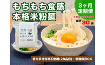 【定期便】【3ヶ月連続お届け】グルテンフリー&nbsp;無添加&nbsp;米麺&nbsp;120g&nbsp;&nbsp;10個セット（白米麺10個）｜米粉&nbsp;うどん&nbsp;焼きそば&nbsp;パスタ&nbsp;麺