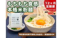 【定期便】【12ヶ月連続お届け】グルテンフリー&nbsp;無添加&nbsp;米麺&nbsp;120g&nbsp;&nbsp;10個セット（白米麺10個）｜米粉&nbsp;うどん&nbsp;焼きそば&nbsp;パスタ&nbsp;麺