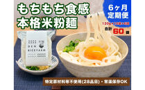 【定期便】【6ヶ月連続お届け】グルテンフリー&nbsp;無添加&nbsp;米麺&nbsp;120g&nbsp;&nbsp;10個セット（白米麺10個）｜米粉&nbsp;うどん&nbsp;焼きそば&nbsp;パスタ&nbsp;麺