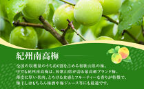 青梅&nbsp;8kg&nbsp;訳あり&nbsp;紀州南高梅&nbsp;シロップ・梅酒・梅干し用等&nbsp;和歌山県有田産&nbsp;2026年5月下旬～7月上旬発送予定