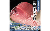 天然本マグロ(黒マグロ)　中トロ300～400g&nbsp;|&nbsp;本マグロ&nbsp;クロマグロ&nbsp;黒マグロ&nbsp;天然マグロ&nbsp;マグロ&nbsp;まぐろ&nbsp;刺身用&nbsp;サク&nbsp;柵&nbsp;海鮮&nbsp;魚介&nbsp;魚介類&nbsp;&nbsp;中トロ&nbsp;高級魚&nbsp;贅沢食材&nbsp;刺身&nbsp;海鮮丼&nbsp;寿司用&nbsp;家庭用&nbsp;お取り寄せ&nbsp;グルメ&nbsp;人気&nbsp;おすすめ&nbsp;国産&nbsp;鳥取県&nbsp;境港市