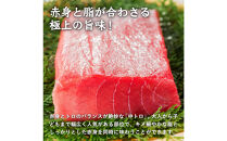 天然本マグロ(黒マグロ)　中トロ300～400g&nbsp;|&nbsp;本マグロ&nbsp;クロマグロ&nbsp;黒マグロ&nbsp;天然マグロ&nbsp;マグロ&nbsp;まぐろ&nbsp;刺身用&nbsp;サク&nbsp;柵&nbsp;海鮮&nbsp;魚介&nbsp;魚介類&nbsp;&nbsp;中トロ&nbsp;高級魚&nbsp;贅沢食材&nbsp;刺身&nbsp;海鮮丼&nbsp;寿司用&nbsp;家庭用&nbsp;お取り寄せ&nbsp;グルメ&nbsp;人気&nbsp;おすすめ&nbsp;国産&nbsp;鳥取県&nbsp;境港市