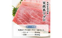 天然本マグロ(黒マグロ)　2点セット(大トロ・赤身)600～650g&nbsp;|&nbsp;本マグロ&nbsp;クロマグロ&nbsp;黒マグロ&nbsp;天然マグロ&nbsp;マグロ&nbsp;まぐろ&nbsp;刺身用&nbsp;サク&nbsp;柵&nbsp;海鮮&nbsp;魚介&nbsp;魚介類&nbsp;赤身&nbsp;大トロ&nbsp;食べ比べ&nbsp;セット&nbsp;高級魚&nbsp;贅沢食材&nbsp;刺身&nbsp;海鮮丼&nbsp;寿司用&nbsp;家庭用&nbsp;&nbsp;&nbsp;お取り寄せ&nbsp;グルメ&nbsp;人気&nbsp;おすすめ&nbsp;国産&nbsp;鳥取県&nbsp;境港市