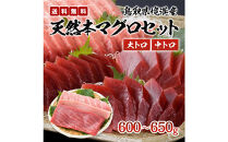 天然本マグロ(黒マグロ)　2点セット(大トロ・中トロ)600～650g&nbsp;|&nbsp;本マグロ&nbsp;クロマグロ&nbsp;黒マグロ&nbsp;天然マグロ&nbsp;マグロ&nbsp;まぐろ&nbsp;刺身用&nbsp;サク&nbsp;柵&nbsp;海鮮&nbsp;魚介&nbsp;魚介類&nbsp;&nbsp;中トロ&nbsp;大トロ&nbsp;食べ比べ&nbsp;セット&nbsp;高級魚&nbsp;贅沢食材&nbsp;刺身&nbsp;海鮮丼&nbsp;寿司用&nbsp;家庭用&nbsp;&nbsp;&nbsp;お取り寄せ&nbsp;グルメ&nbsp;人気&nbsp;おすすめ&nbsp;国産&nbsp;鳥取県&nbsp;境港市