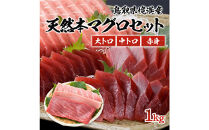 天然本マグロ(黒マグロ)　3点セット(大トロ・中トロ・赤身)&nbsp;1kg&nbsp;|&nbsp;本マグロ&nbsp;クロマグロ&nbsp;黒マグロ&nbsp;天然マグロ&nbsp;マグロ&nbsp;まぐろ&nbsp;刺身用&nbsp;サク&nbsp;柵&nbsp;海鮮&nbsp;魚介&nbsp;魚介類&nbsp;赤身&nbsp;中トロ&nbsp;大トロ&nbsp;食べ比べ&nbsp;セット&nbsp;&nbsp;&nbsp;&nbsp;高級魚&nbsp;贅沢食材&nbsp;刺身&nbsp;海鮮丼&nbsp;寿司用&nbsp;家庭用&nbsp;&nbsp;&nbsp;お取り寄せ&nbsp;グルメ&nbsp;人気&nbsp;おすすめ&nbsp;国産&nbsp;鳥取県&nbsp;境港市